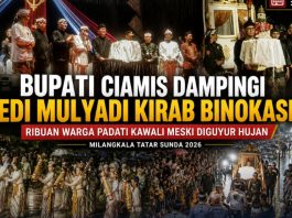 Bupati Ciamis dampingi Dedi Mulyadi di kirab binokasih