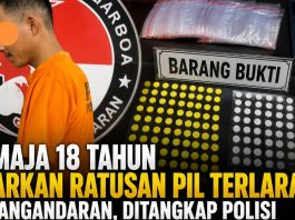 Remaja 18 Tahun di Pangandaran Ditangkap, Edarkan Ratusan Pil Terlarang