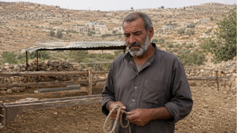 domba kurban palestina dicuri yahudi - berita dunia islam lintas priangan