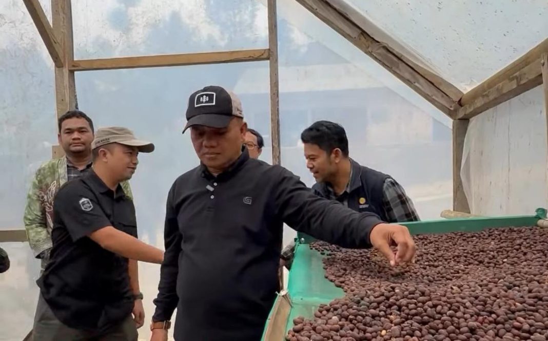 kopi bunar tasikmalaya - berita tasikmalaya - lintas priangan