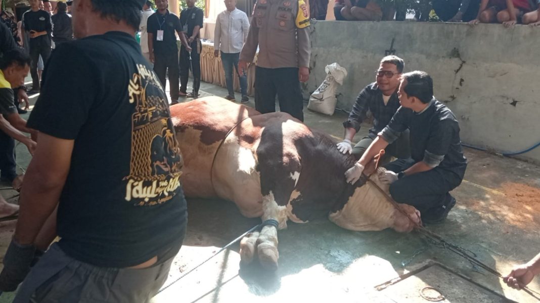 kurban sman 1 kota tasikmalaya - berita tasikmalaya lintas priangan