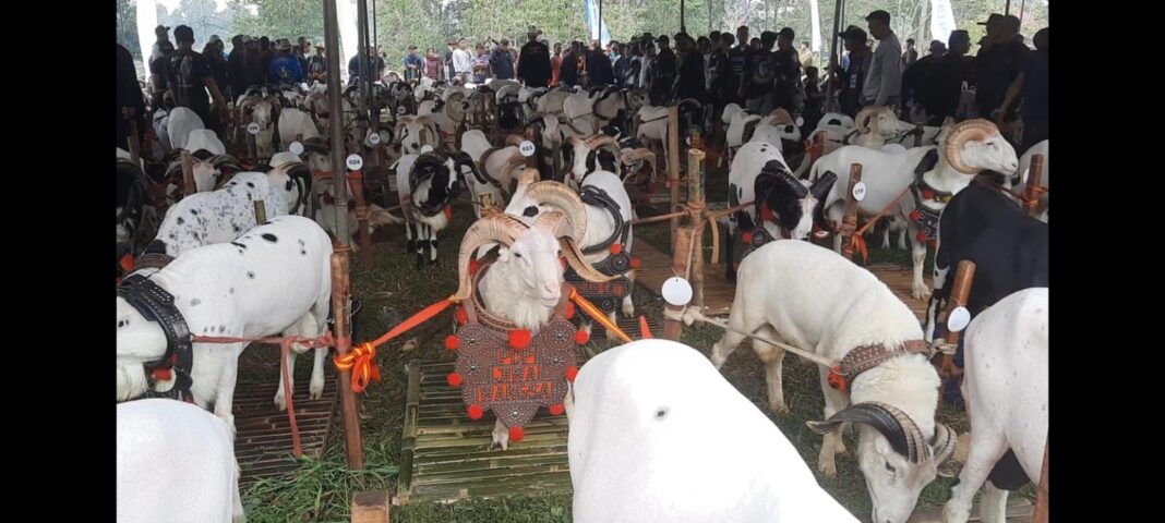 Pesta Patok Tasikmalaya