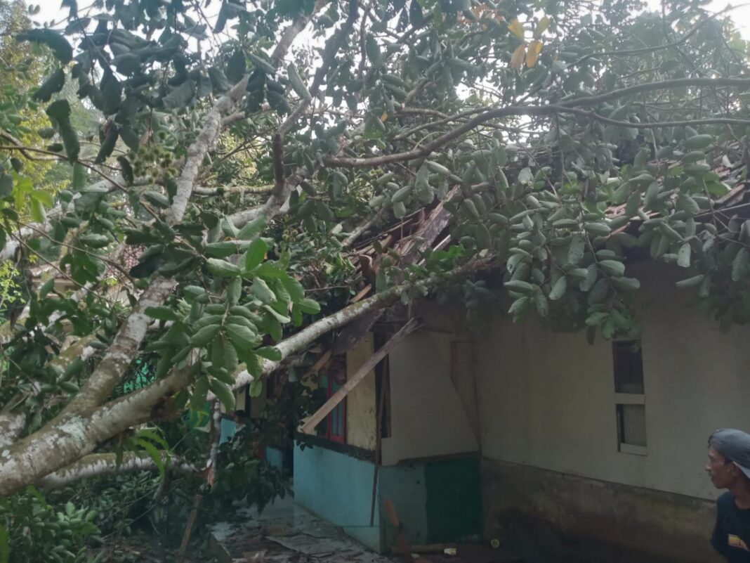 Pohon tumbang di Ciamis