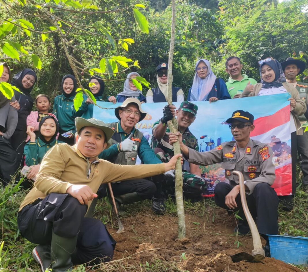 Penghijuan Cikajang Garut di Gelar Fokopimcam