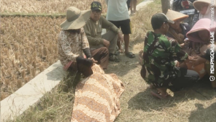 Petani Meninggal di Pamarican - lintaspriangan