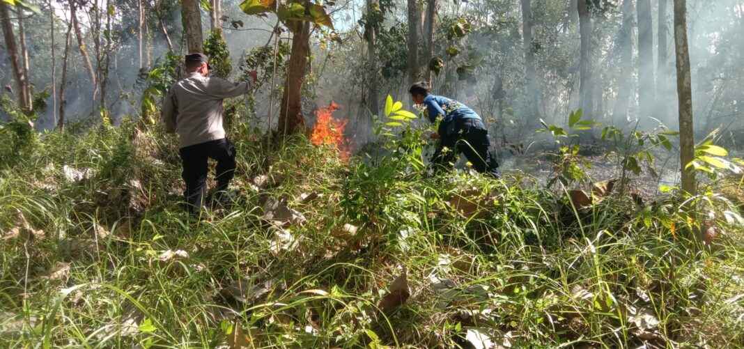 Petugas Berusaha Memadamkan Kebakaran Lahan Ciamis