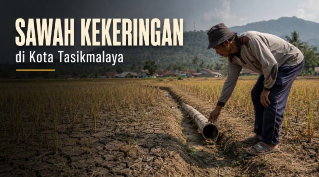 pertanian Kota Tasikmalaya