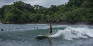 Batu Karas Surf Festival: Berselancar di Atas Gelombang 2,9 Meter Pangandaran Batu Karas Surf Festival