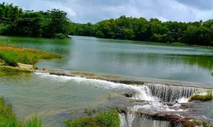 Buaya Muara Teror Situ Habibie Sukabumi-lintaspriangan