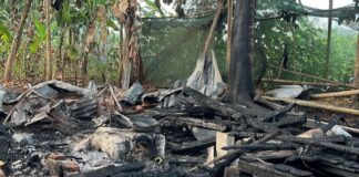 Kebakaran Baregbeg Ciamis, Api Hanguskan Dapur Rumah Lansia Warga dan Damkar Bergerak Cepat Membantu Kebakaran Baregbeg Ciamis - lintas priangan