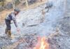 Diduga Berawal Pembakaran Sampah, Kebakaran Lahan Merembet ke Hutan Perhutani Ciamis Kebakaran lahan Ciamis - lintas priangan