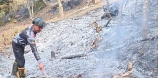 Diduga Berawal Pembakaran Sampah, Kebakaran Lahan Merembet ke Hutan Perhutani Ciamis Kebakaran lahan Ciamis - lintas priangan