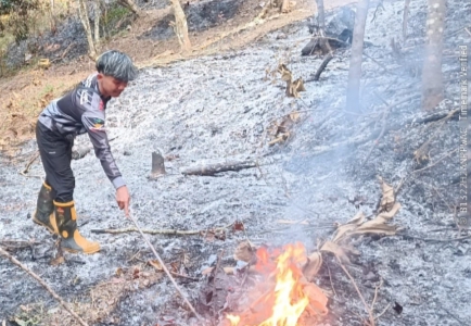 Kebakaran lahan Ciamis - lintas priangan