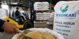 Berdikari Siapkan 30.000 Ton Bungkil Kedelai, 5.000 Ton Diakses Koperasi Peternak bungkil kedelai