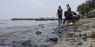 Ceceran Minyak Karawang Ditemukan di Dua Pesisir, PHE ONWJ Tak Temukan Kebocoran Fasilitas ceceran minyak Karawang