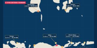 Tsunami Terdeteksi di Sembilan Titik Usai Gempa NTT M7,7 gempa NTT