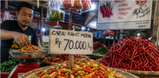Harga Cabai Rawit Garut Naik 12 Persen, Tembus Rp70 Ribu per Kilogram harga cabai rawit Garut