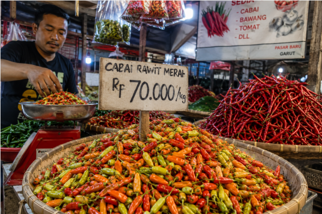 harga cabai rawit Garut