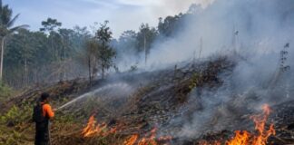 BPBD Catat Kebakaran Lahan Cibenda Sekitar 1 Hektare di Dua Dusun kebakaran lahan Cibenda