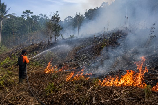 kebakaran lahan Cibenda