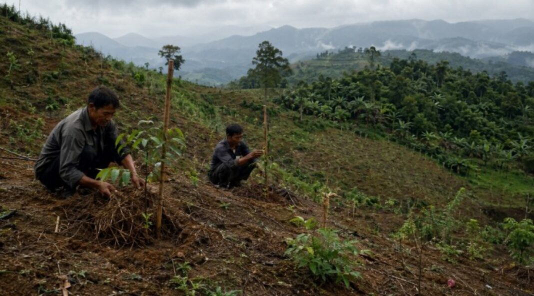 lahan kritis Priangan Timur