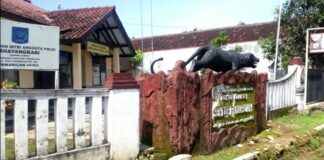 Pria di Pamarican Ciamis Ditemukan Meninggal, Sebelumnya Diduga Alami Tekanan Psikologis pria di Pamarican Ciamis meninggal - lintas priangan