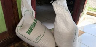 Beras Bantuan di Ciamis Dikeluhkan Bau dan Kusam, Bulog Klaim Kualitas Baik Bantuan beras Ciamis - lintas priangan
