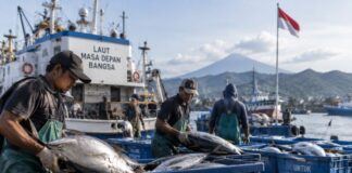 Hari Maritim Nasional 2026, Ekspor Perikanan Semester I Tembus Rp52,6 Triliun Hari Maritim Nasional 2026