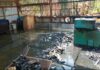 Kebakaran di Ciamis, Rumah Usaha Tusuk Sate Kerugian Ditaksir Rp80 Juta Kebakaran di Ciamis - lintas priangan