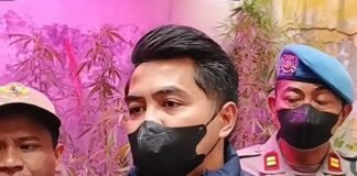 PPPK Kementerian PU Tanam Ganja, Alasannya Bikin Geleng Kepala