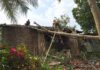 Pohon Tumbang Rusak Rumah Warga di Sukadana Ciamis, Kerugian Capai Rp5 Juta Pohon tumbang Ciamis timpa rumah- lintas priangan