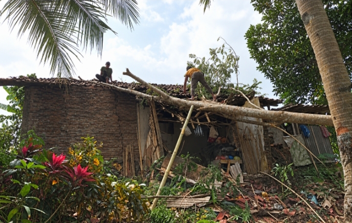 Pohon tumbang Ciamis timpa rumah- lintas priangan
