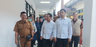 Wamenkes Dorong Program CKG Ciamis, Deteksi Dini Penyakit Berat