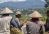 Hari Tani di Garut, Petani Sampaikan Persoalan Akses Lahan dan Regulasi akses lahan petani Garut