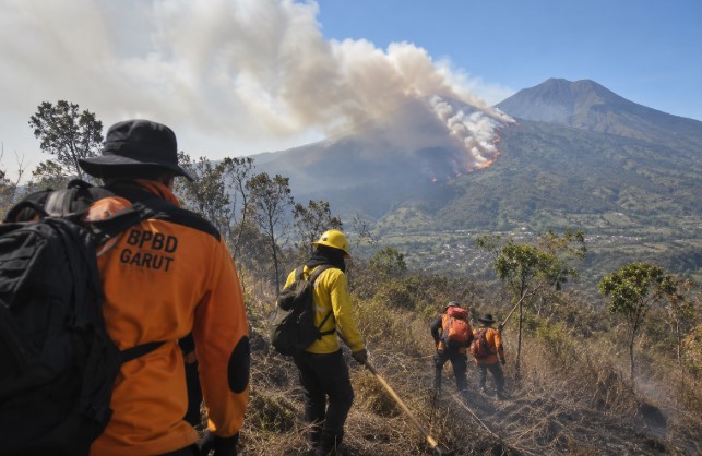 kebakaran gunung guntur