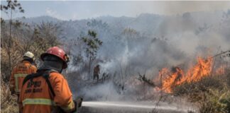 Kebakaran Lahan Jawa Barat Capai 228,07 Hektare, Sukabumi Terluas kebakaran lahan Jawa Barat