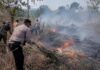 Kebakaran Lahan Purwakarta, Api di Sindangpanon Dipadamkan Polisi dan Warga kebakaran lahan Purwakarta