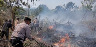 Kebakaran Lahan Purwakarta, Api di Sindangpanon Dipadamkan Polisi dan Warga kebakaran lahan Purwakarta