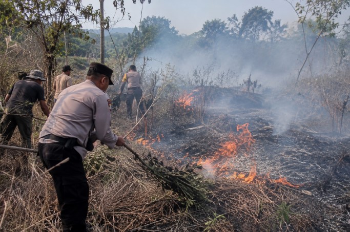 kebakaran lahan Purwakarta