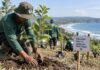Penanaman Pohon Pangandaran Tertinggi di Priangan Timur, Capai 117 Ribu Bulan Ini penanaman pohon Pangandaran