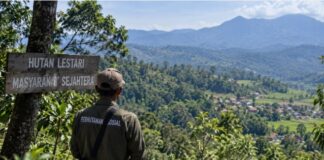 Perhutanan Sosial Garut, Pemkab Siapkan 7 Program di 13 Kecamatan perhutanan sosial Garut