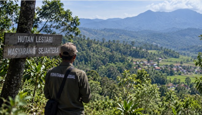 perhutanan sosial Garut