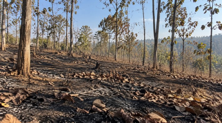 Kebakaran lahan Pamarican