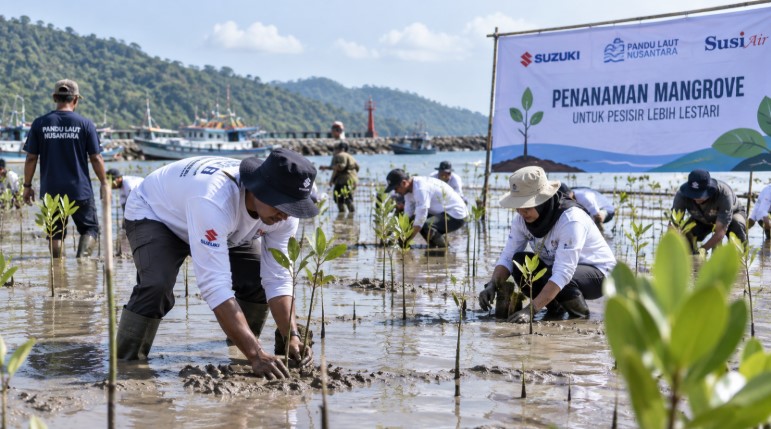 mangrove Pangandaran