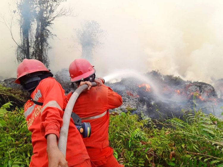 Sanksi perusahaan karhutla - Nasional